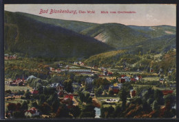 AK Bad Blankenburg /Thür. Wald, Blick Vom Greifenstein  - Bad Blankenburg