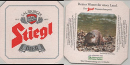5005504 Bierdeckel Quadratisch - Stiegl - Beer Mats