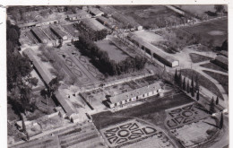 ALGERIE.....CARTE PHOTO TIARET ...LA JUMENTERIE - Autres & Non Classés