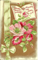6411 Belle CPA Gaufrée Roses De Noël - Ellébores - Flowers