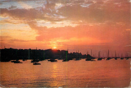 England Isle Of Wight Cowes Sunset View - Cowes