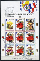 Paraguay  N° 2213a En Feuillet Sur Enveloppe 1er Jour  - Champignons (3 P27) - Champignons