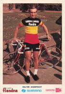 Vélo - Cyclisme - Coureur Cycliste Walter Godefroot - Champion De Belgique - Team Shimano Flandria - Wielrennen