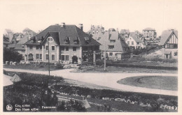 DE HAAN - COQ Sur MER - Panorama - De Haan