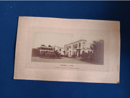 **** ALGERIE ****  ALGER Environs Le Palais Du Gouverneur à Mustapha  -- Grande Photo 1900 Sur Format Carton 42cmx26cm - - Africa