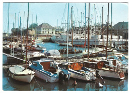 14   Courseulles  - Le Port Des Yachts - Courseulles-sur-Mer