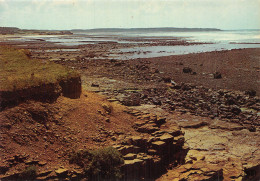 85 BOURGENAY LES ROCHERS NAPOLEON - Otros & Sin Clasificación