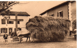 Pays Basque Animée Attelage De Foin Ane âne - Autres & Non Classés