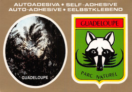 GUADELOUPE LA FORET TROPICAL - Other & Unclassified