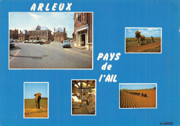 59 ARLEUX LA MAIRIE - Arleux