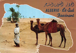 ALGERIE LE SUD - Other & Unclassified