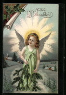 AK Weihnachtsengel Mit Tannenzweigen  - Engelen