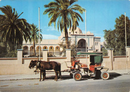 TUNISIE BISKRA - Tunesien