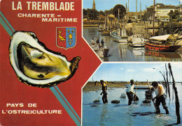 17 LA TREMBLADE - La Tremblade