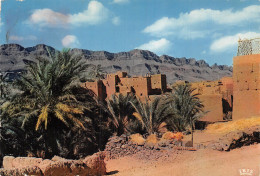 MAROC LA VALLEE DE L OUES DRAA - Andere & Zonder Classificatie