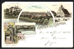 Lithographie Grimma, Rathaus, Schloss Döben, Partie A. D. Stadtwald  - Grimma