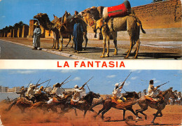 MAROC LA FANTASIA - Other & Unclassified