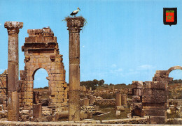 MAROC VOLUBILIS - Andere & Zonder Classificatie