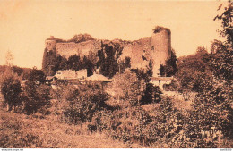 86 VIEUX CHATEAU DE POITOU GENCAY FORTERESSE DES DUCS - Gencay