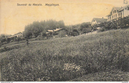 SUISSE SOUVENIR DE MACOLIN MAGGLINGEN - Sonstige & Ohne Zuordnung