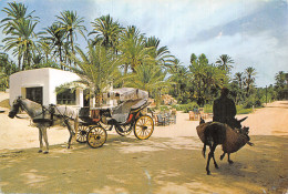 TUNISIE GABES - Tunisia