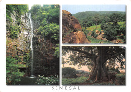 SENEGAL AUTOUR DE KEDOUGOU - Sénégal