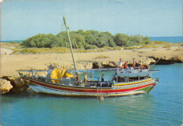 DJIBOUTI BOUTRE AUX ILES - Djibouti