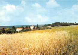 38 ROYBON ABBAYE DE CHAMBARAND - Sonstige & Ohne Zuordnung