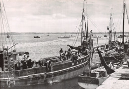 44 LE CROISIC BATEAUX A QUAI - Le Croisic