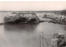 17 ROYAN LES ROCHERS DE VALIERE - Royan