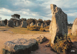 56 CARNAC LES ALIGNEMENTS DE MENHIRS - Carnac