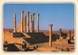 MAROC VOLUBILIS - Other & Unclassified