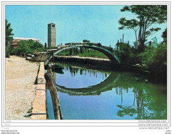 TORCELLO (VE):  IL  PONTE  DEL  DIAVOLO  -  FG - Ponts