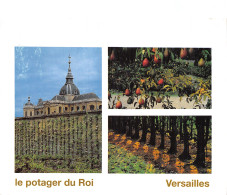 78 VERSAILLES LE POTAGER DU ROI - Versailles (Schloß)