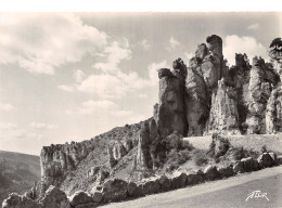 48 LES GORGES DE LA JONTE - Autres & Non Classés