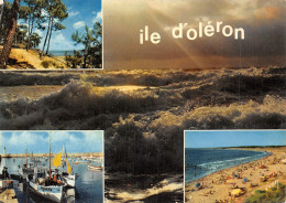 17 L ILE D OLERON - Ile D'Oléron