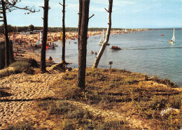 17 L ILE D OLERON BOYARDVILLE - Ile D'Oléron