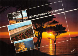 17 SAINT GEORGES DE DIDONNE - Saint-Georges-de-Didonne