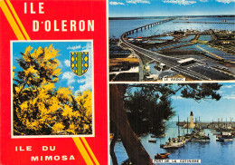 17 L ILE D OLERON - Ile D'Oléron