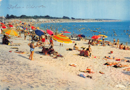 17 L ILE D OLERON DOLUS - Ile D'Oléron