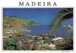 Espagne MADEIRA FUNCHAL - Madeira