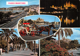 Espagne MALLORCA PALMA - Mallorca