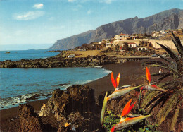 Espagne TENERIFE PUERTO SANTIAGO - Tenerife