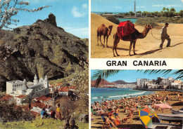 Espagne GRAN CANARIA - Gran Canaria