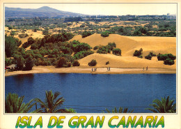 Espagne GRAN CANARIA MASPALOMAS - Gran Canaria