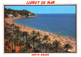 Espagne COSTA BRAVA LLORET DE MAR - Other & Unclassified