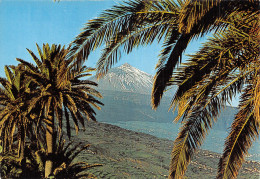 Espagne TEIDE - Tenerife