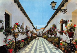 Espagne MALAGA - Málaga