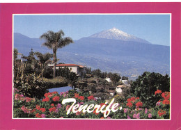 Espagne TENERIFE ISLAS CANARIAS EL TEIDE - Tenerife