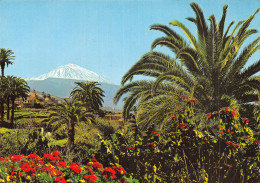 Espagne TENERIFE EL TEIDE - Tenerife